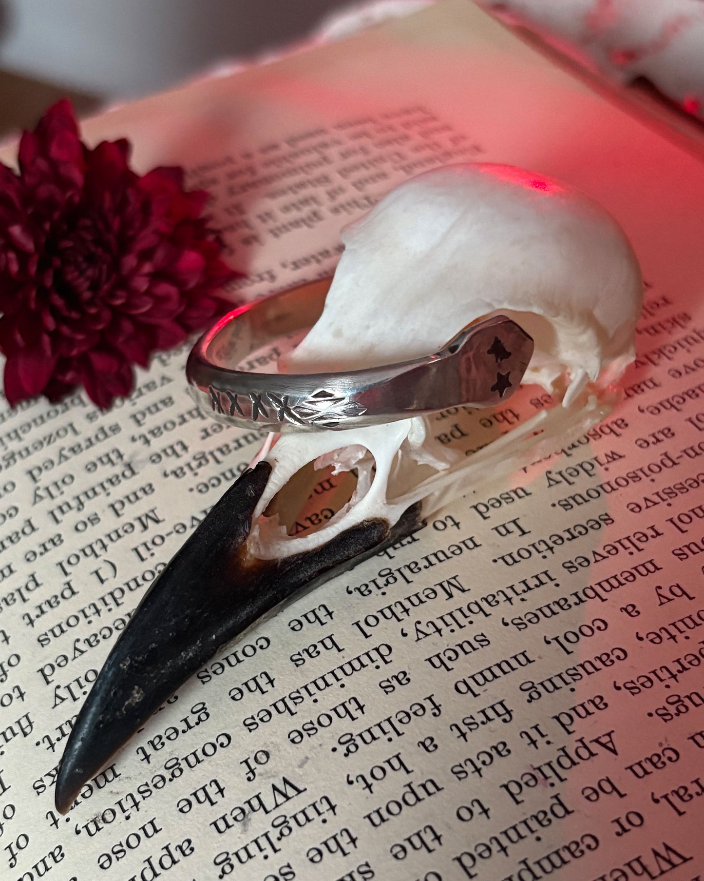 Snake Cuff - For Veronica