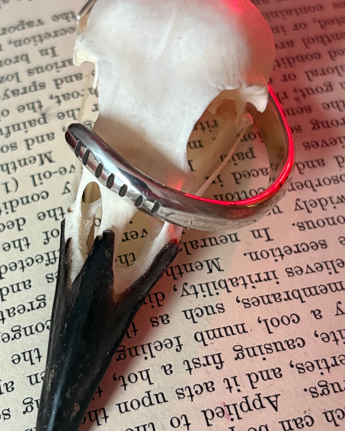 Snake Cuff - For Veronica