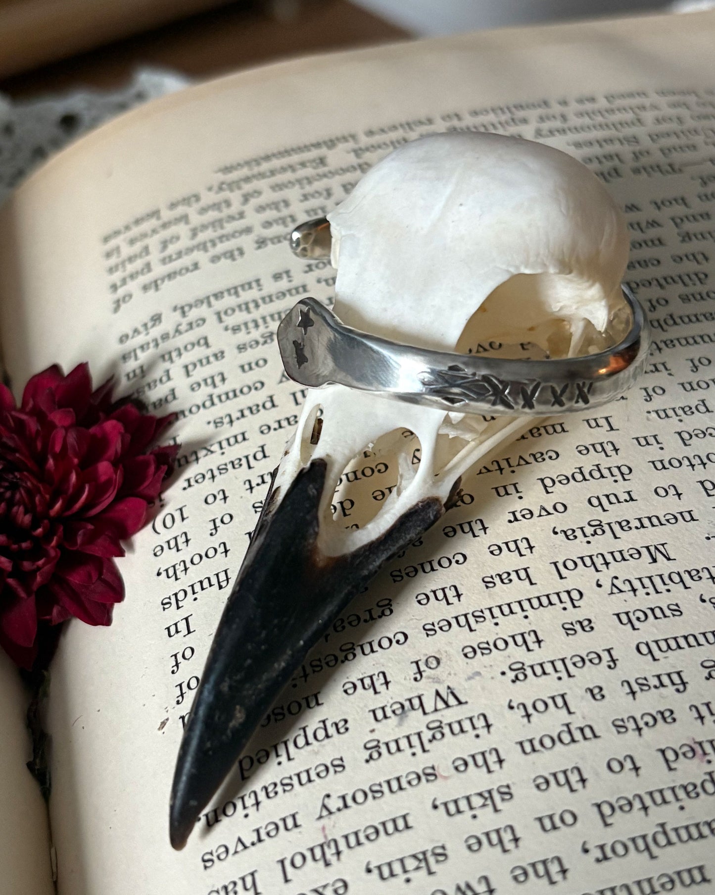 Snake Cuff - For Veronica